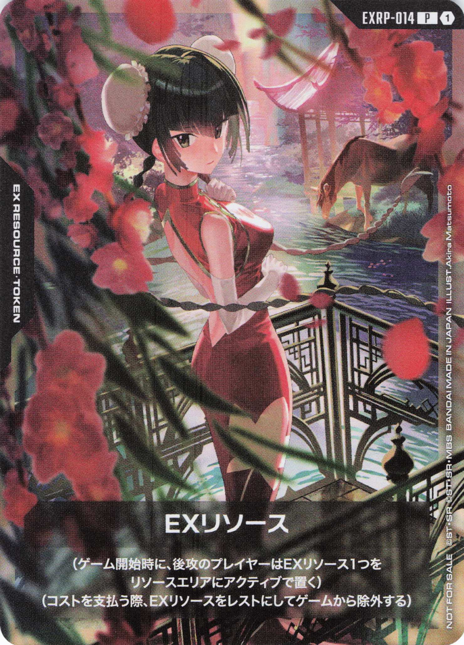 EXリソース(王留美)(日本語版)(P)(EXRP-014)